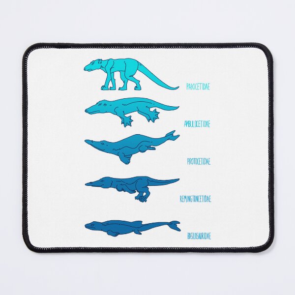 Item preview, evolution designed and sold by Emma Lang.