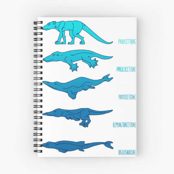 Item preview, evolution designed and sold by Emma Lang.