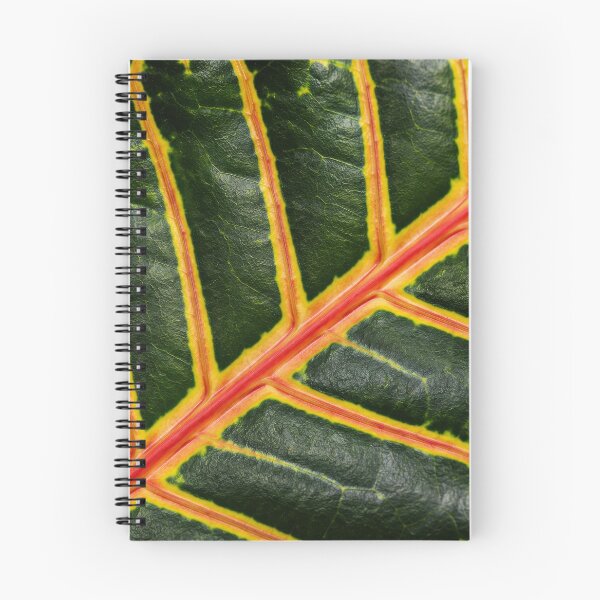 Item preview, Colorful Leaf Vein Patterns designed and sold by SanctuaryTheory.