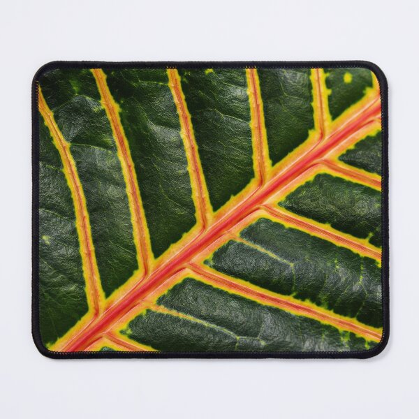 Item preview, Colorful Leaf Vein Patterns designed and sold by SanctuaryTheory.