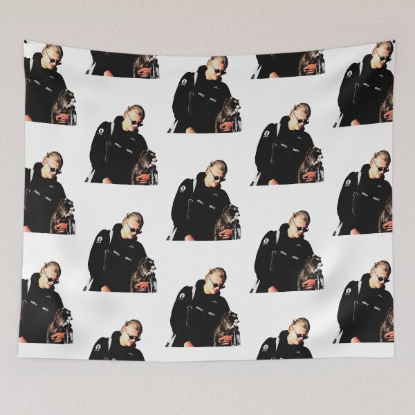 Item preview, ErlingHaaland hug Raccoon Norway Soccer World Cup 2026 meme designed and sold by Landesign.