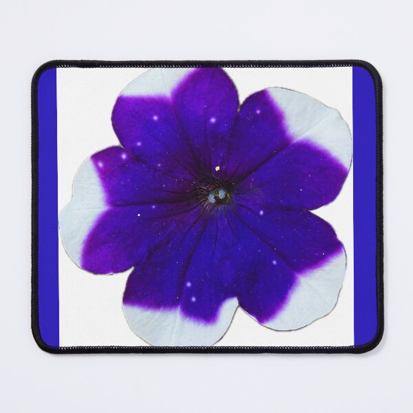 Item preview, Isolated Starry Purple and White Petunia Flower Graphic designed and sold by BalkanBloom.