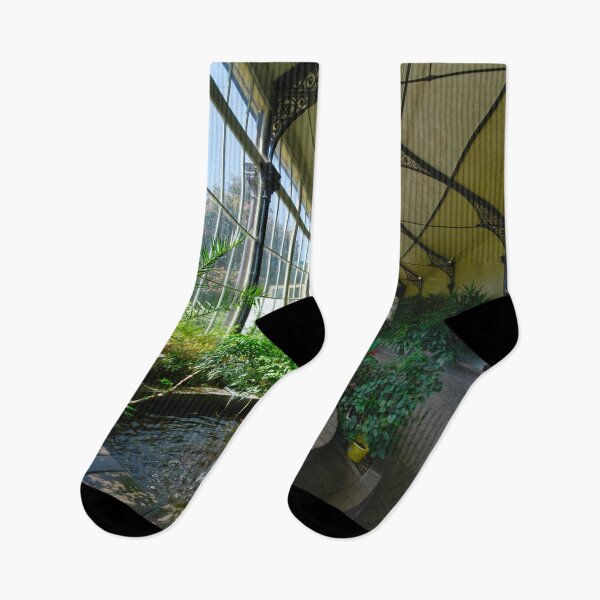 Item preview, Buxton Pavillion Conservatory designed and sold by Alisonchambers2.