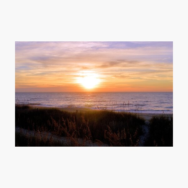 Sunrise On The Seagrass Photographic Print