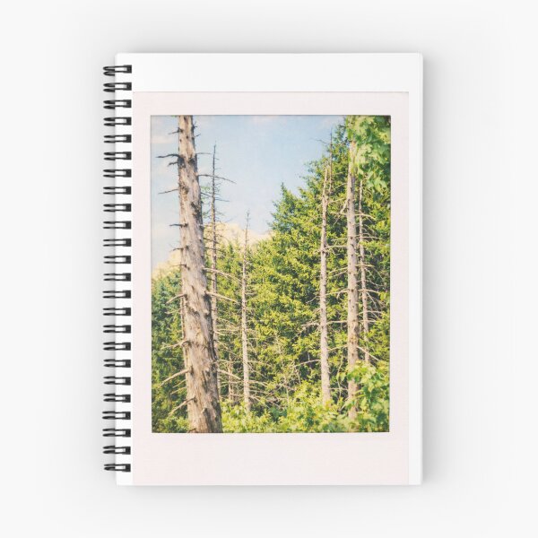 Item preview, View of Sarnia Skała from the Forest – Tatra Mountain Landscape designed and sold by GabeMountainArt.
