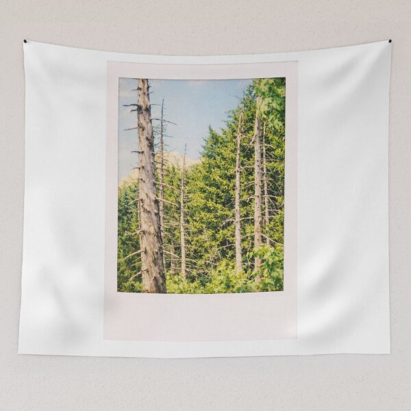 Item preview, View of Sarnia Skała from the Forest – Tatra Mountain Landscape designed and sold by GabeMountainArt.