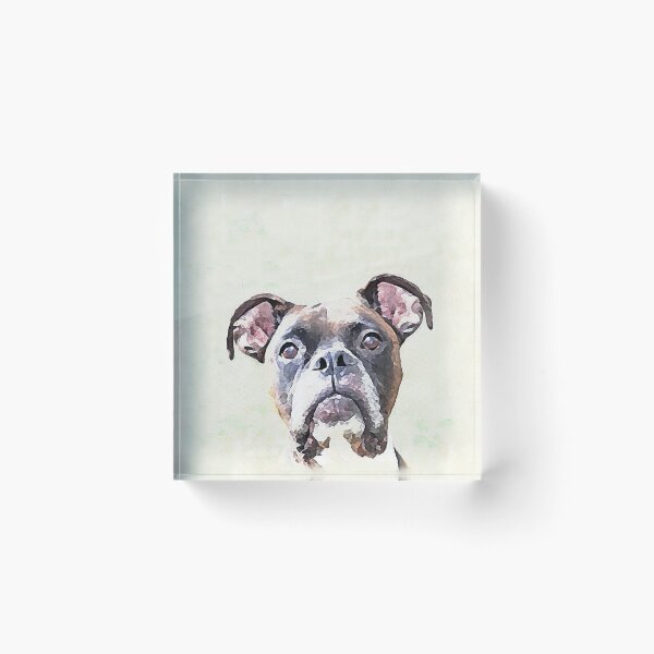 Item preview, Brindle Boxer Dog designed and sold by ritmoboxers.