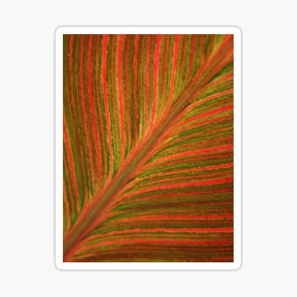 Natural Abstracts - Leaf Pattern Sticker