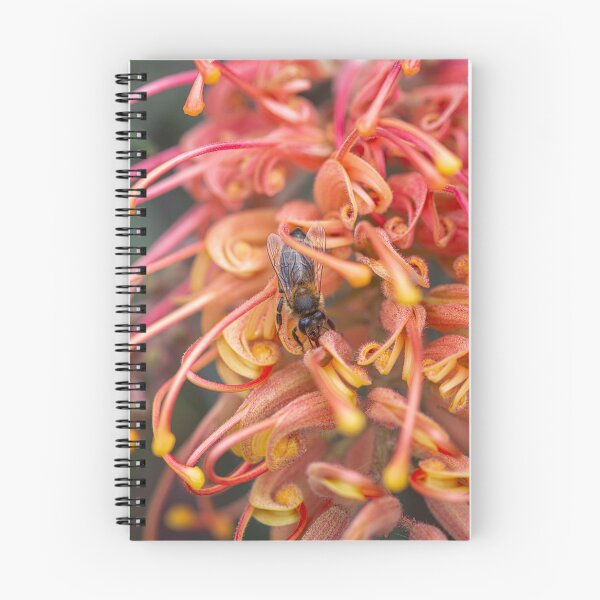 Item preview, Grevillea Blossom Macro Photography – Fine Art Canvas Print designed and sold by MinzMarchStudio.