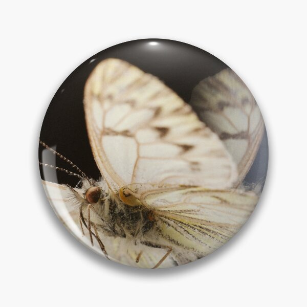 Item preview, Hesse Kassel Morir Saltando designed and sold by TeriHebb.