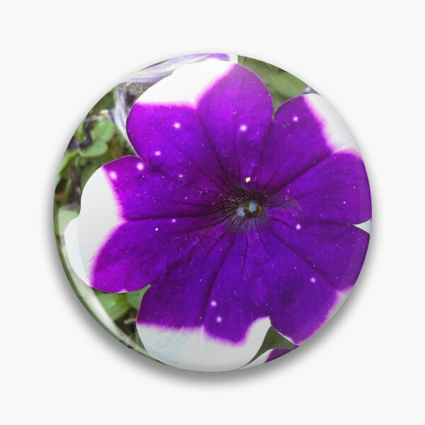 Item preview, Starry Purple and White Bi-Color Petunia Flower designed and sold by BalkanBloom.