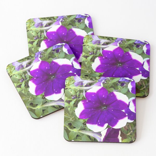 Item preview, Starry Purple and White Bi-Color Petunia Flower designed and sold by BalkanBloom.