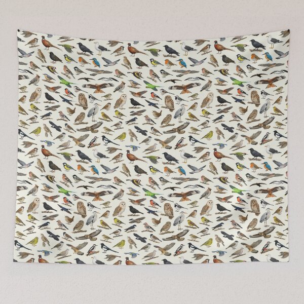 Item preview, British Garden Birds Ornithology Identification Chart designed and sold by kakarikihill.