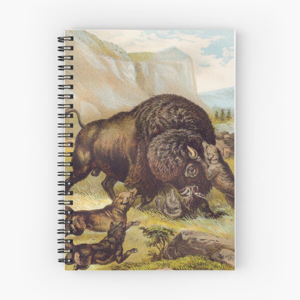 Item preview, Vintage Buffalo illustration art designed and sold by Vintage Designs +.