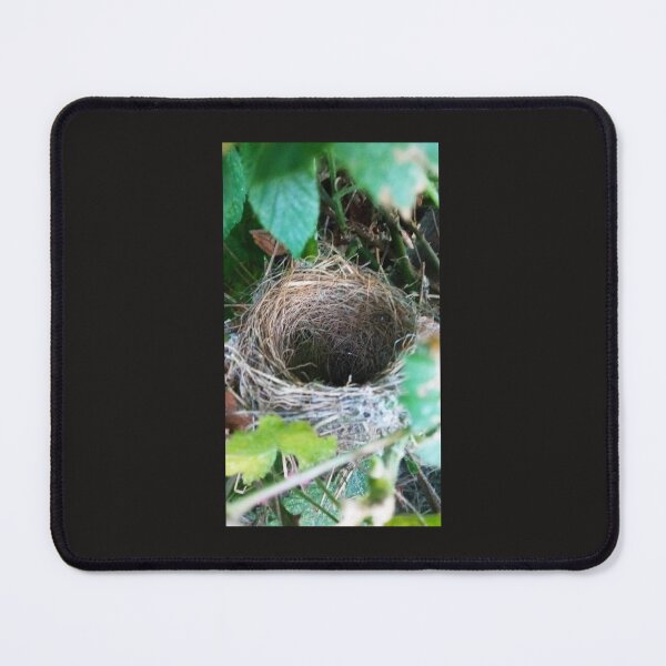 Item preview, bird nest designed and sold by cathygwen.