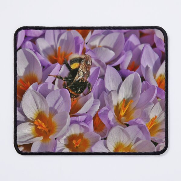 Item preview, Bumblebee Amidst a Field of Blooming Crocuses designed and sold by mildatoysdecors.
