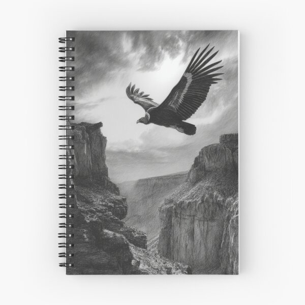 Item preview, A dramatic Condor circling above canyon walls, Birds in Motion designed and sold by CDC40.