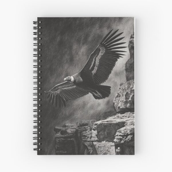 Item preview, A dramatic Condor circling above canyon walls, Birds in Motion designed and sold by CDC40.