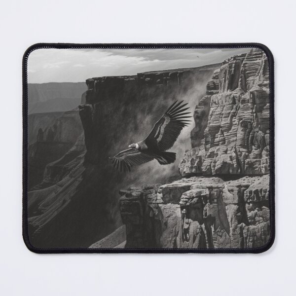 Item preview, A dramatic Condor circling above canyon walls, Birds in Motion designed and sold by CDC40.