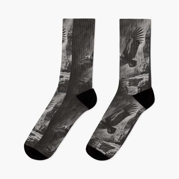 Item preview, A dramatic Condor circling above canyon walls, Birds in Motion designed and sold by CDC40.
