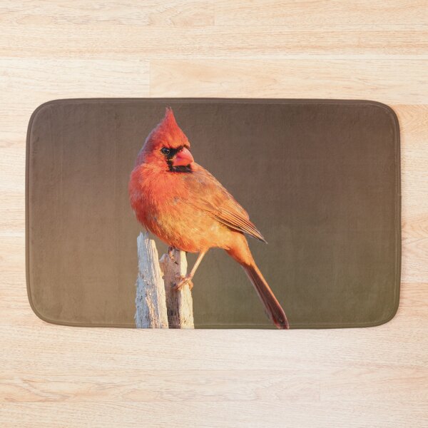 Item preview, Male Cardinal Perched on Dead Tree designed and sold by Craig Sterken.
