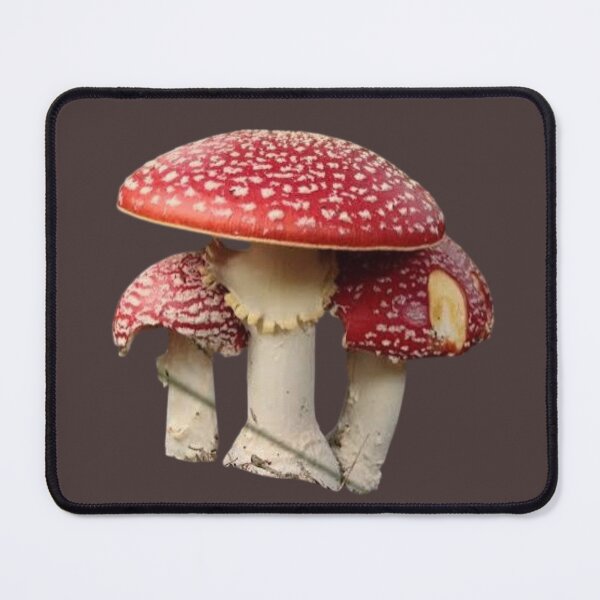 Item preview, Enchanted Amanita: Classic Red & White Toadstool Forest designed and sold by 63Hotpeppers.