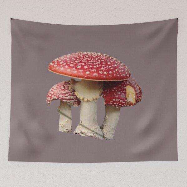 Item preview, Enchanted Amanita: Classic Red & White Toadstool Forest designed and sold by 63Hotpeppers.