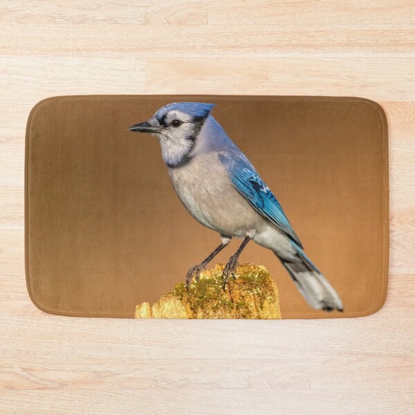 Item preview, Blue Jay Perches on Tree Stump in Early Morning Light designed and sold by Craig Sterken.