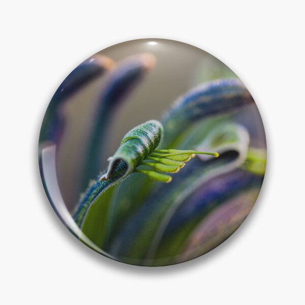 Item preview, Blue Masquerade Kangaroo Paw Macro 1 – Fine Art Canvas Print designed and sold by MinzMarchStudio.