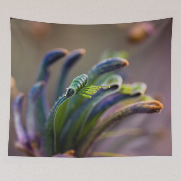 Item preview, Blue Masquerade Kangaroo Paw Macro 1 – Fine Art Canvas Print designed and sold by MinzMarchStudio.