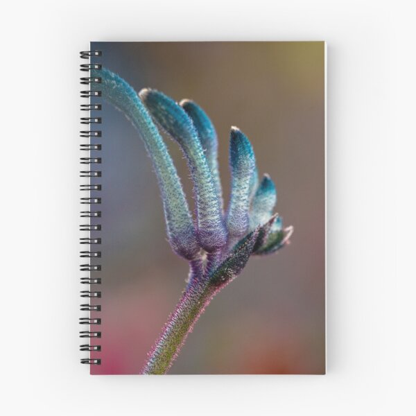 Item preview, Blue Masquerade Kangaroo Paw Macro 2 – Fine Art Canvas Print designed and sold by MinzMarchStudio.