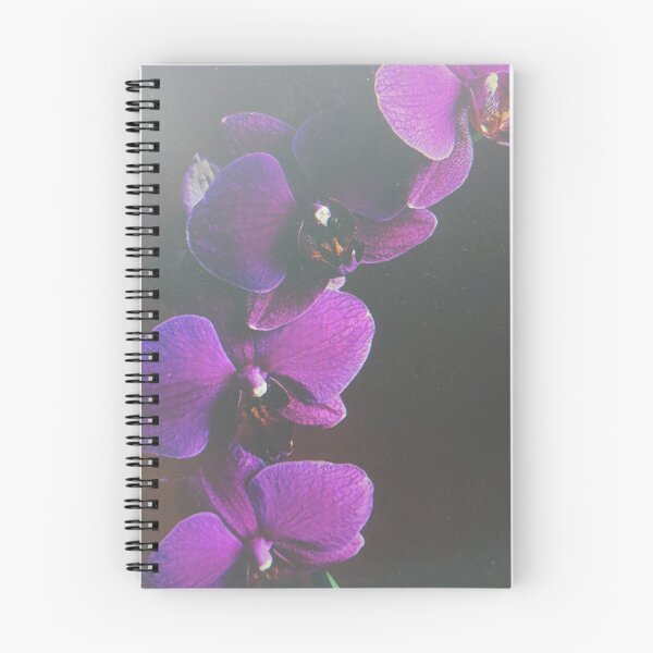 Item preview, Purple Orchid on Dark Background designed and sold by oktariansyah7.