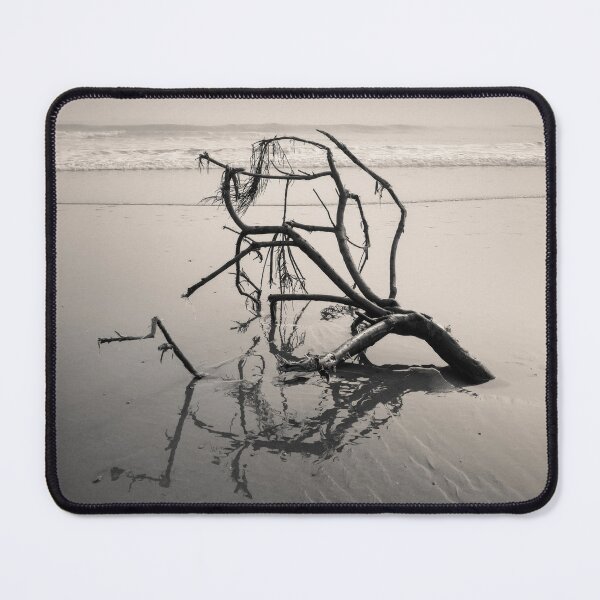 Item preview, Washed Ashore designed and sold by David Bowman.