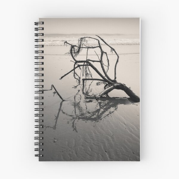 Item preview, Washed Ashore designed and sold by David Bowman.