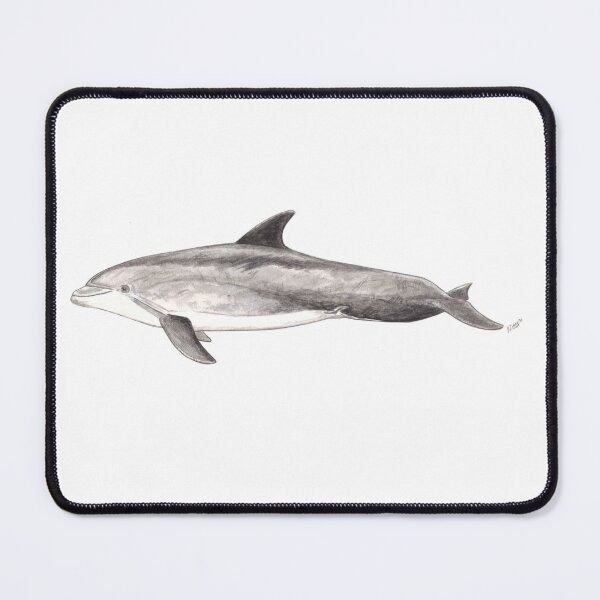 Item preview, Bottlenose dolphin Tursiops truncatus designed and sold by chloeyzoard.