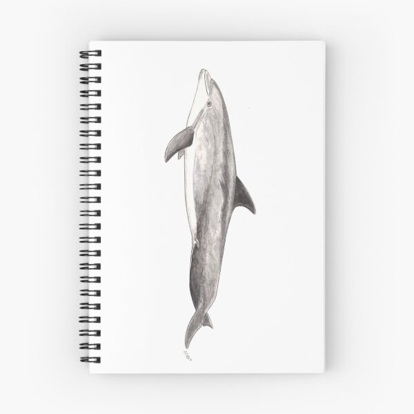 Item preview, Bottlenose dolphin Tursiops truncatus designed and sold by chloeyzoard.