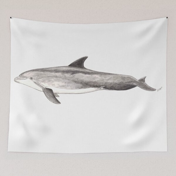 Item preview, Bottlenose dolphin Tursiops truncatus designed and sold by chloeyzoard.