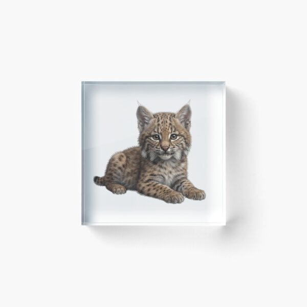 Item preview, Baby Bobcat designed and sold by T's&such.