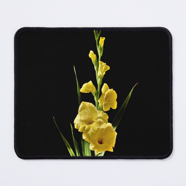 Item preview, Gladiolus, studio shot, on film designed and sold by JonDelorme.