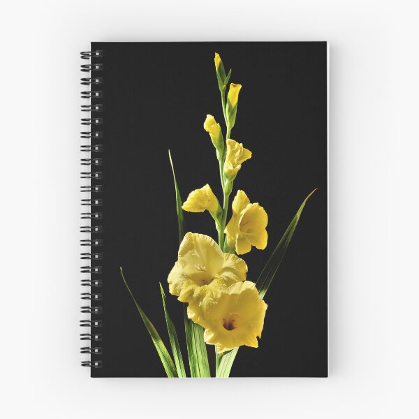 Item preview, Gladiolus, studio shot, on film designed and sold by JonDelorme.