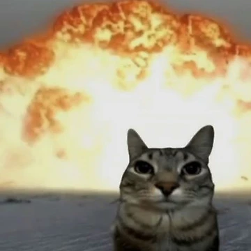 Artwork thumbnail, cat explosion by CatsCritterDesigns 