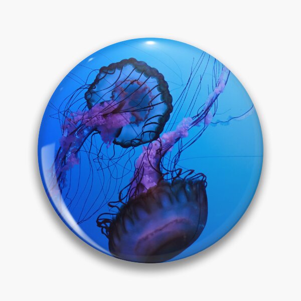 Item preview, Pacific Sea Nettle Jellyfish designed and sold by Kmrphotostn.