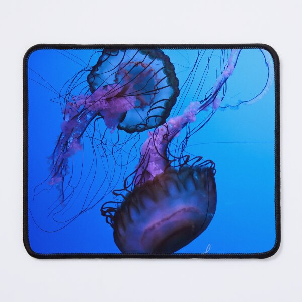 Item preview, Pacific Sea Nettle Jellyfish designed and sold by Kmrphotostn.