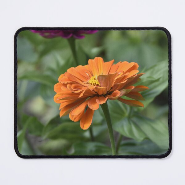 Item preview, Orange and Purple Zinnia Duo Vertical Garden Wall Art designed and sold by TathataPhotos.