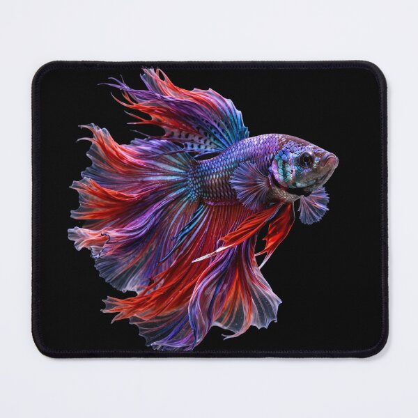 Item preview, Colorful Siamese Fighting Betta Fish Majestic Aquatic Watercolor Art designed and sold by Dream Weave Studio.