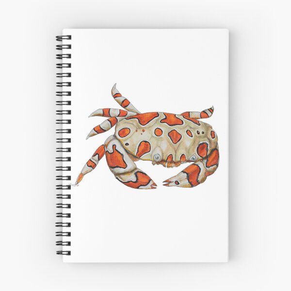 Item preview, Harlequin Swimming Crab designed and sold by chloeyzoard.