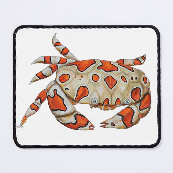 Item preview, Harlequin Swimming Crab designed and sold by chloeyzoard.