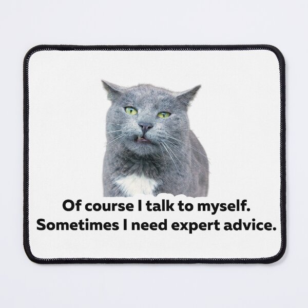Item preview, I Talk To Myself Funny Cat Sticker designed and sold by StikerChuns.