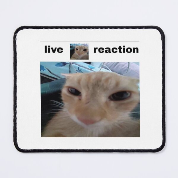 Item preview, live cat reaction cat meme designed and sold by CatsCritterDesigns .