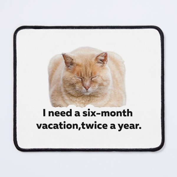 Item preview, Six Month Vacation Funny Cat Meme Sticker designed and sold by StikerChuns.